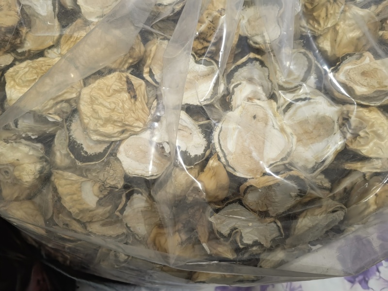 竹荪蛋、农场种植高品质竹荪蛋干货