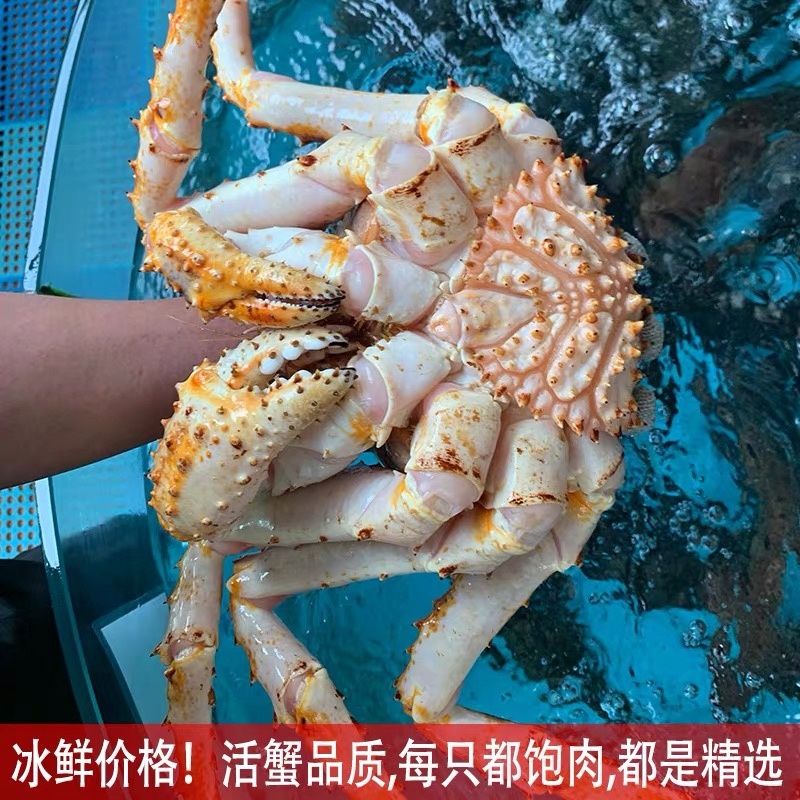 帝王蟹冷冻特大螃蟹冰鲜海鲜水产