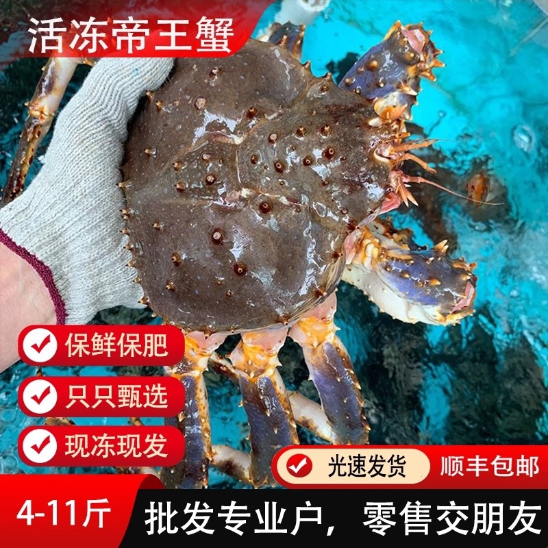 帝王蟹冷冻特大螃蟹冰鲜海鲜水产
