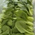 油菜大量供应质优价廉欢迎各位客商前来选购