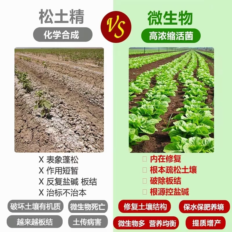微生物菌剂土壤改良剂保水保肥提肥力抗重茬增加土壤有机质