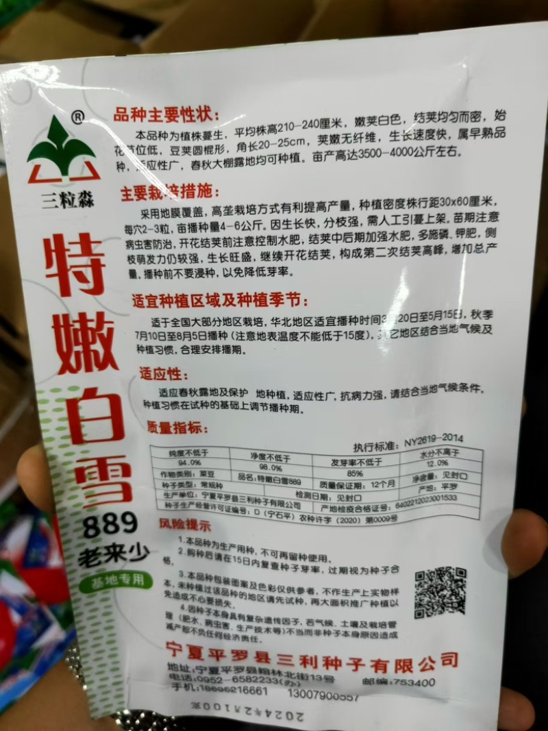 特嫩白雪老来少架豆种子白不老嫩荚白色豆荚圆棍形