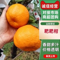 【精品】四川资阳耙耙柑一手货源新鲜保质可视频看货