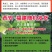 九粒白架豆种子白芸豆中早熟荚棒形白绿色肉厚无筋