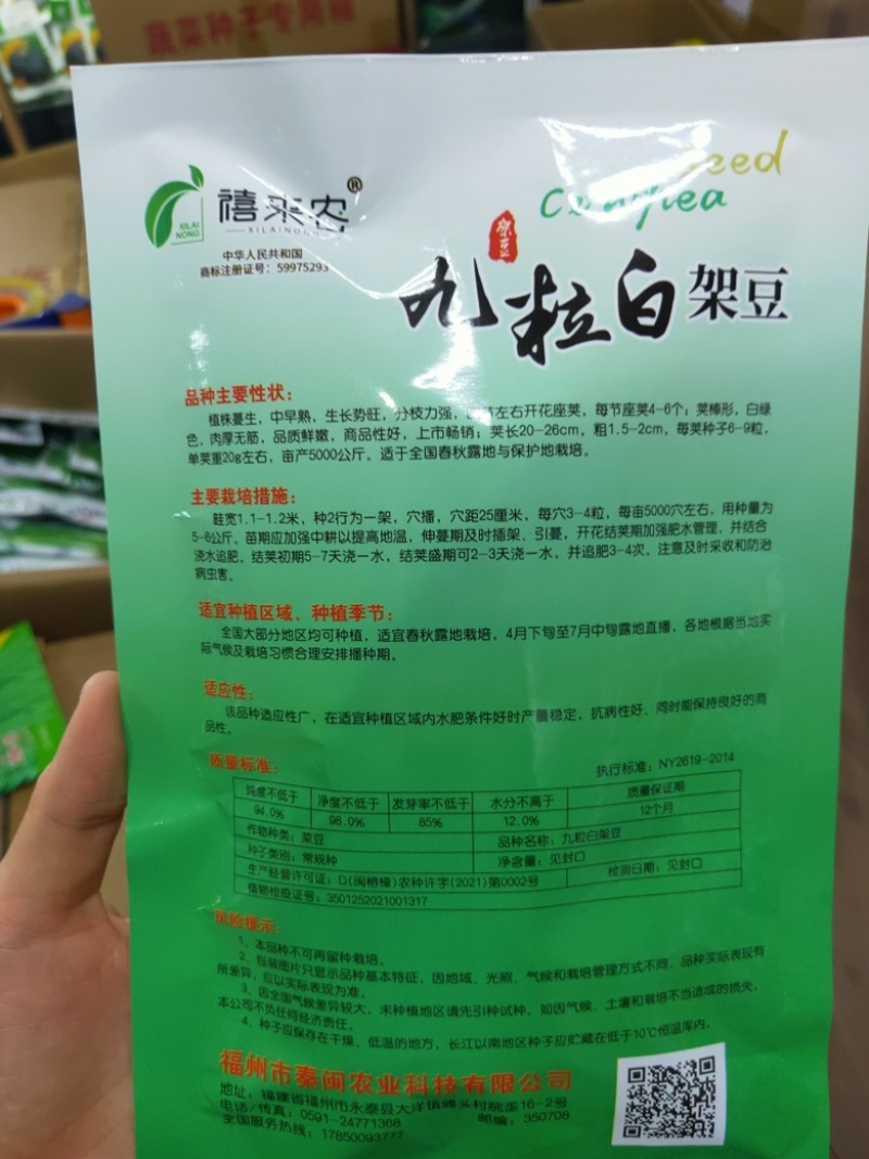 九粒白架豆种子白芸豆中早熟荚棒形白绿色肉厚无筋