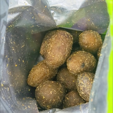 甘草橄榄潮汕特产正宗九制咸甜黄金橄榄果脯休闲茶点蜜饯酸甜