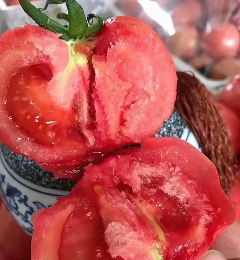 精品西红柿大量供应，山东费县产地直发货源充足，质量好