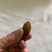 甘草橄榄潮汕特产正宗九制咸甜黄金橄榄果脯休闲茶点蜜饯酸甜