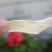 焦作温县铁棍怀山药片正宗垆土山药干片淮山片淮山粉山药干无
