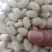 {诚信商家}新鲜白莲子，产地直发，大量出货。欢迎来电。