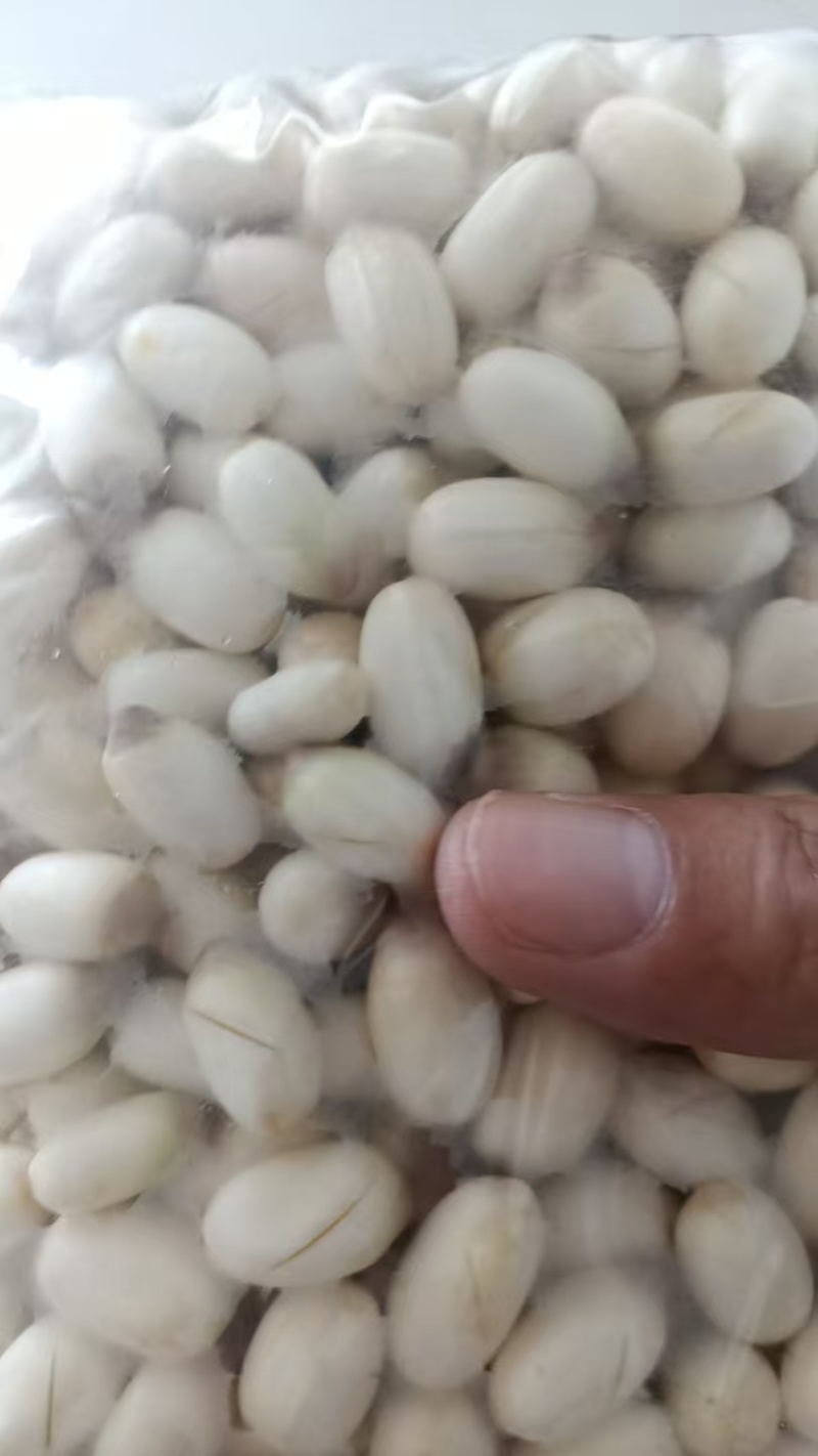 {诚信商家}新鲜白莲子，产地直发，大量出货。欢迎来电。