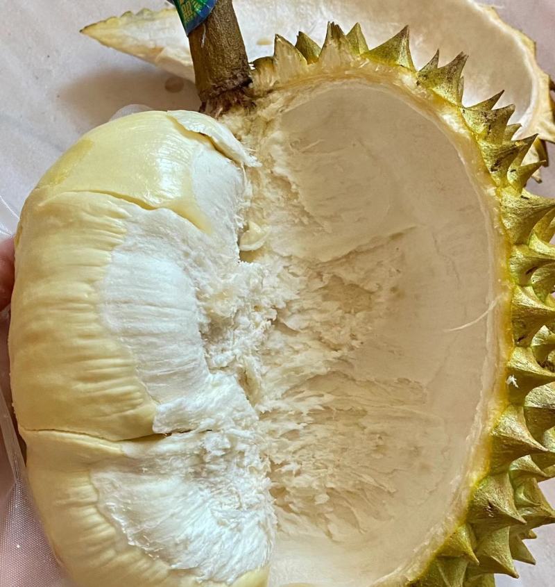 金枕榴莲一手批发价格，A果保5房，坏果包赔，货到付款