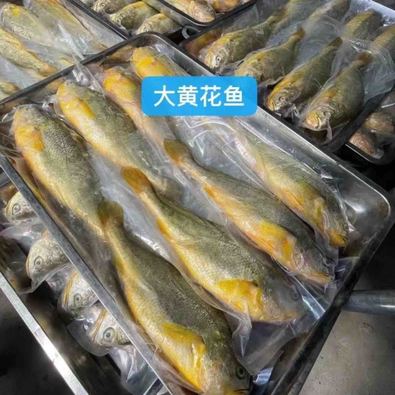新鲜黄花鱼，去肚后一条一斤