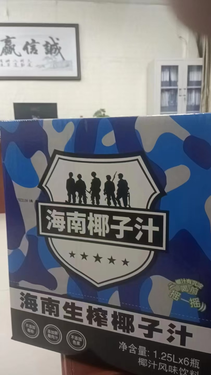 海南特产果蔬汁植物蛋白分风生榨椰子汁，椰奶厂家，量大从优