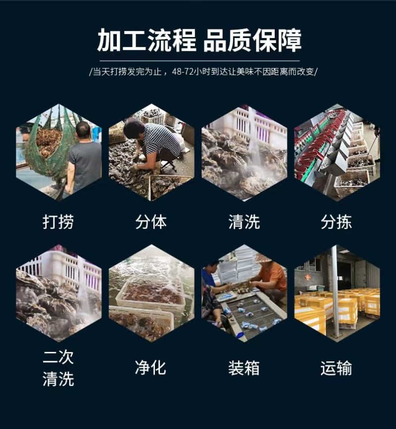 生蚝常年大量供应，全国发货，可对接电商超市等，诚信经营