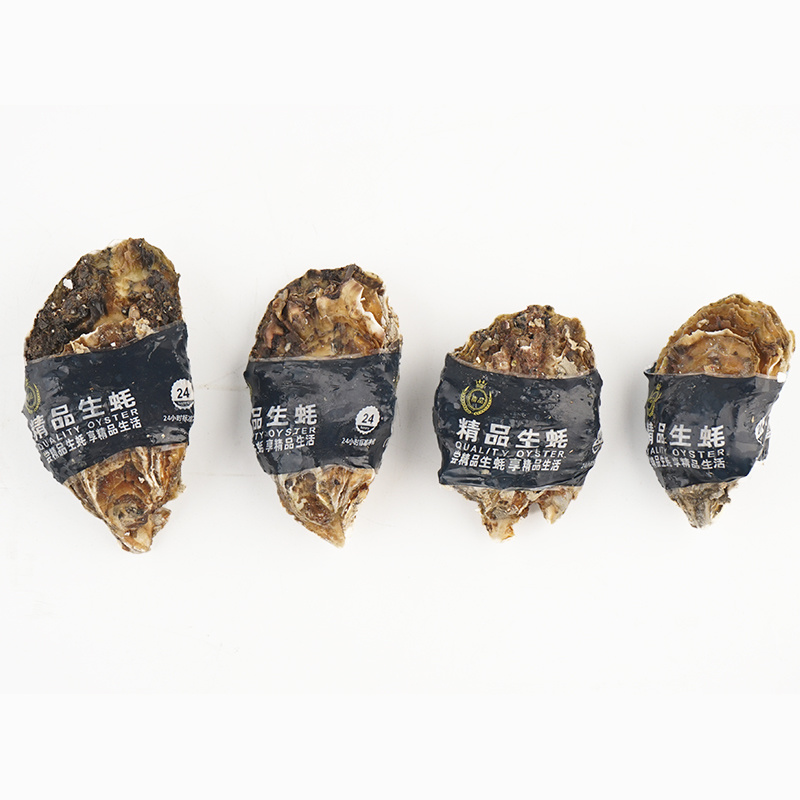 生蚝常年大量供应，全国发货，可对接电商超市等，诚信经营