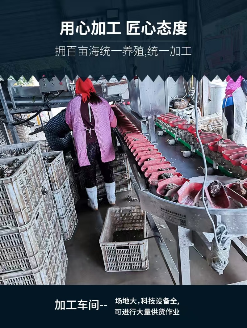 生蚝常年大量供应，全国发货，可对接电商超市等，诚信经营