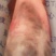自家新鲜猪胆