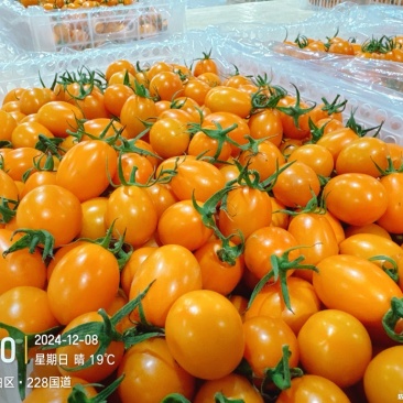 广东电白皇冠千禧私域精品商超顺丰一件代发