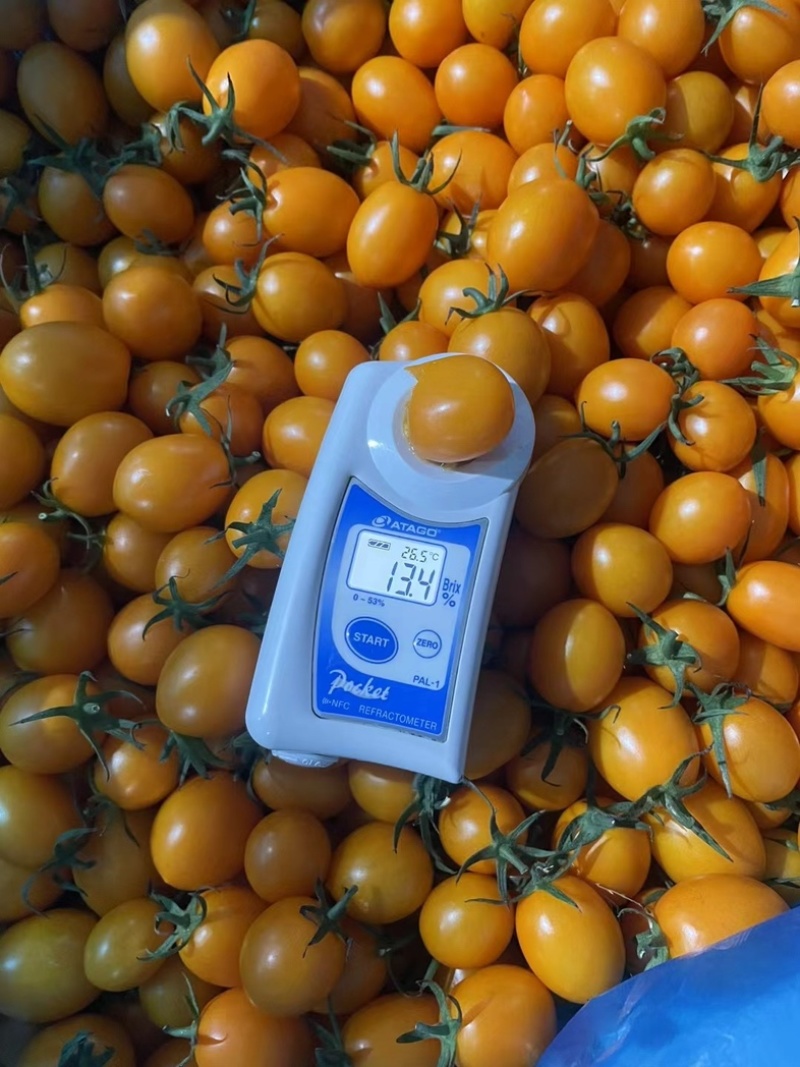 广东电白皇冠千禧私域精品商超顺丰一件代发
