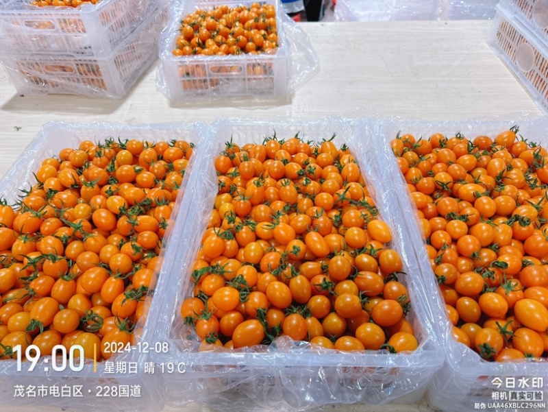 广东电白皇冠千禧私域精品商超顺丰一件代发