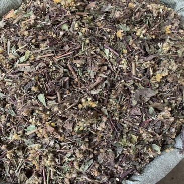贵州野生中药材一枝黄花干品百根草老虎尿优质现货