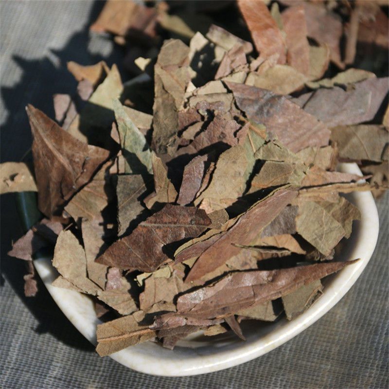 中药材霜后柿子叶新货正品柿叶茶柿子叶子霜柿叶柿树叶