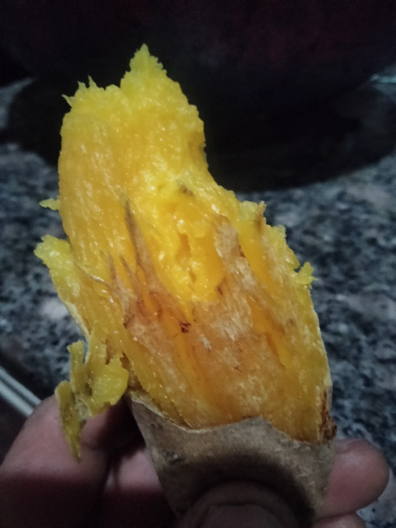 北京553红薯3两以上通货黄心