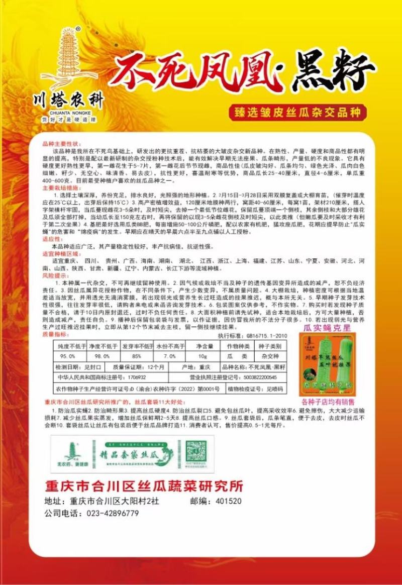 丝瓜种子不死凤凰抗桔蒌病皱皮丝瓜新品种比不死鸟高产