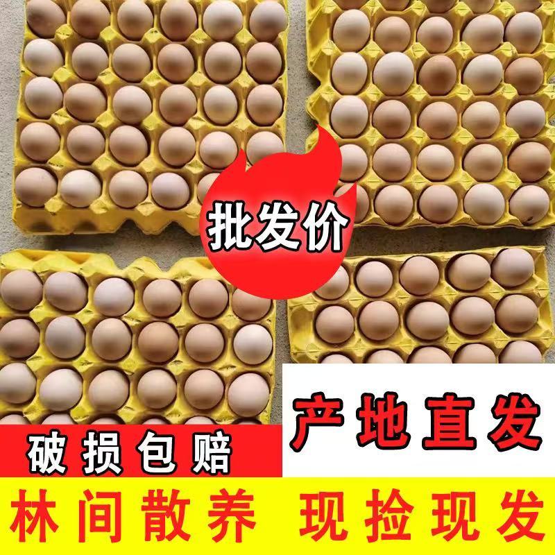 林间散养土鸡蛋，欢迎各位老板来采购