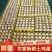 林间散养土鸡蛋，欢迎各位老板来采购
