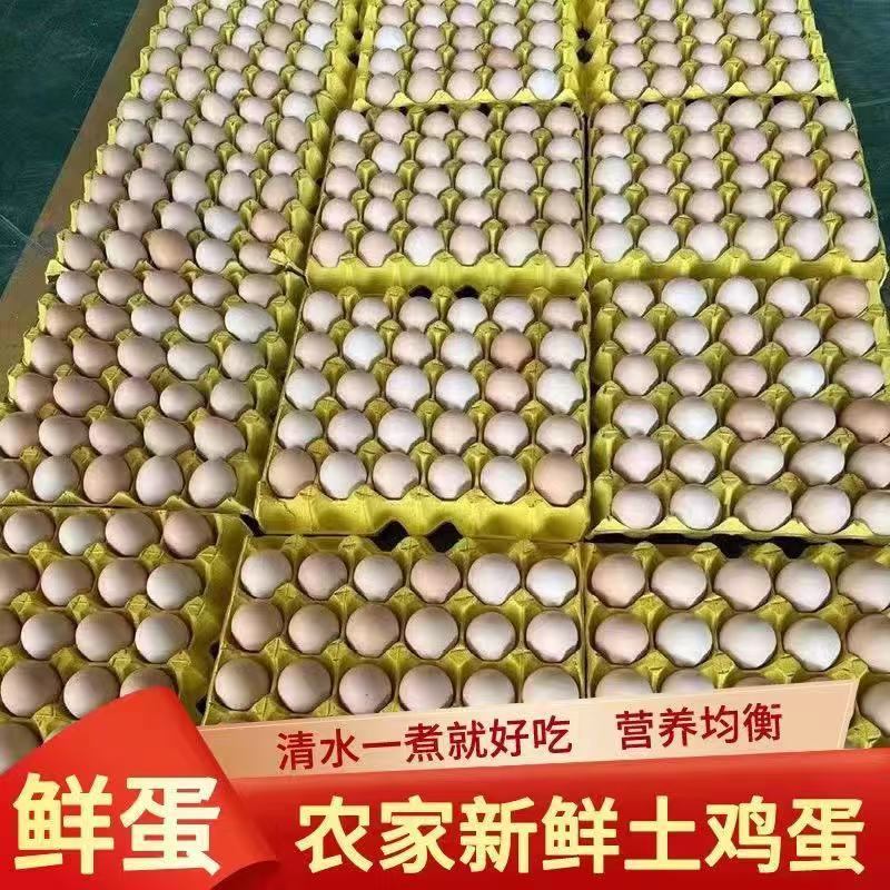 林间散养土鸡蛋，欢迎各位老板来采购