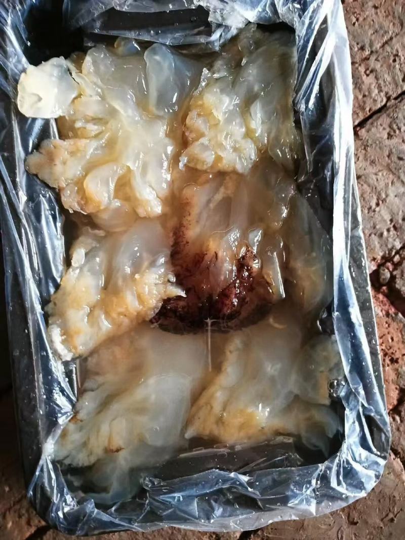 海蜇头（渤海湾沙蜇头）电商、批发商、赶大集**物超所值