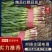 河南优质红根蒜苗，产地直供，电商，市场，品质保证