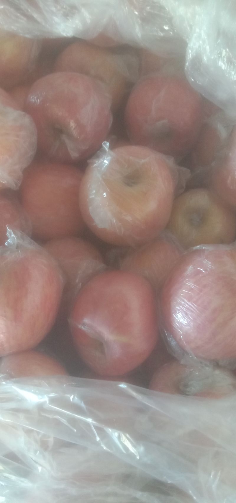 纸加膜大铁框净果