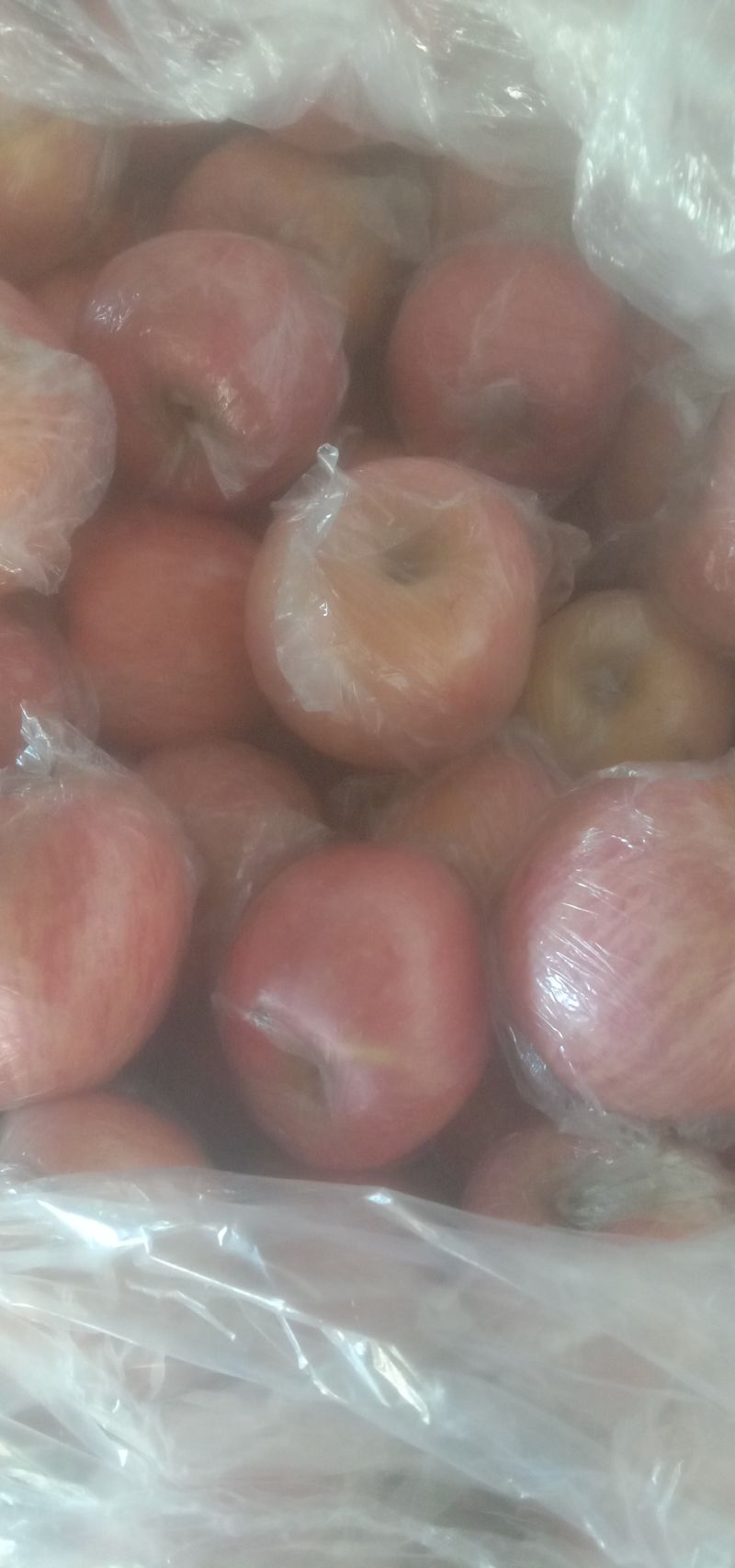 纸加膜大铁框净果