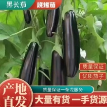 精品黑长茄，无籽，皮毛靓，市场，电商各类规格