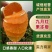 精选九月红脐橙又名果冻橙口感甜果园看货量大价优