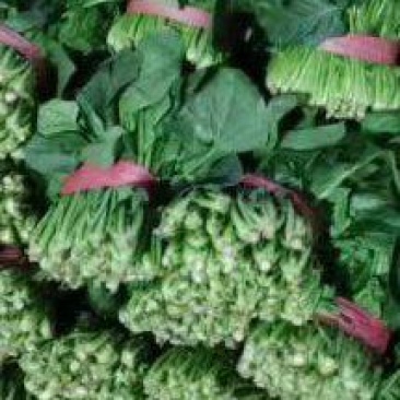 菠菜大量供应质优价廉，欢迎各位客商光临选购
