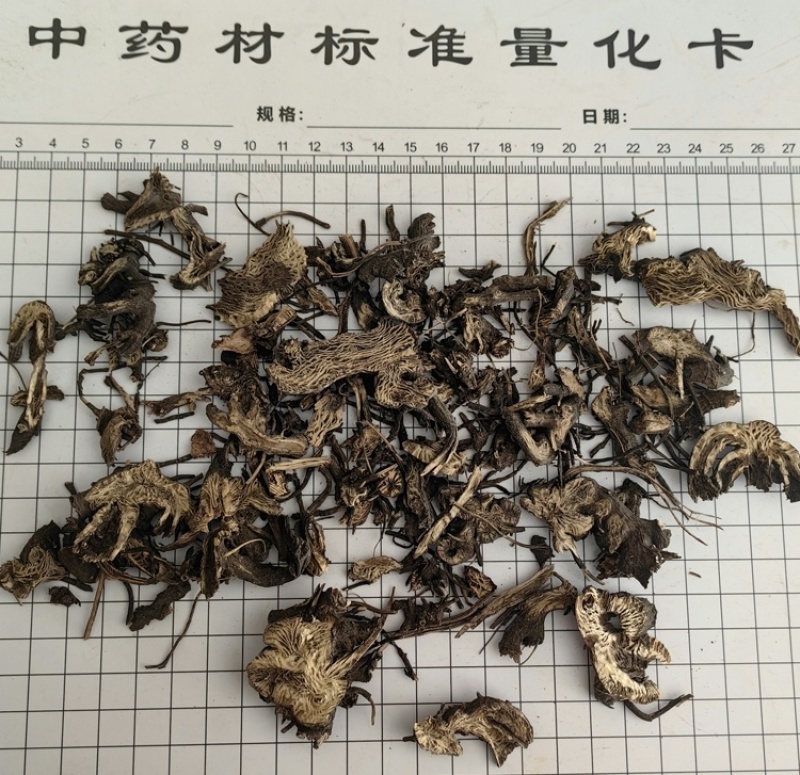 升麻东北升麻批发各种中药材康辰药业量大从优