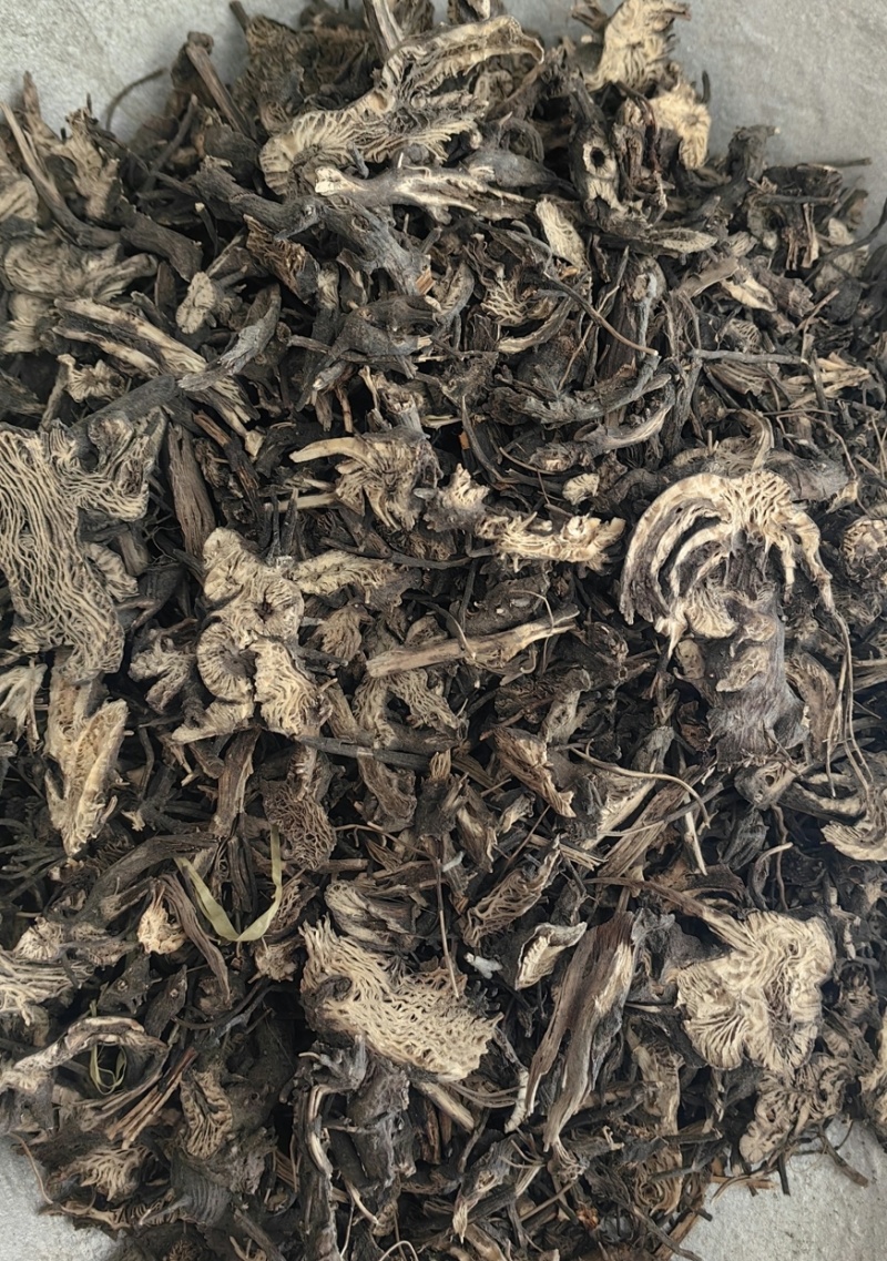 升麻东北升麻批发各种中药材康辰药业量大从优
