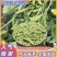 【推荐】江苏新鲜手工毛豆粒大量上市品质保证欢迎来电