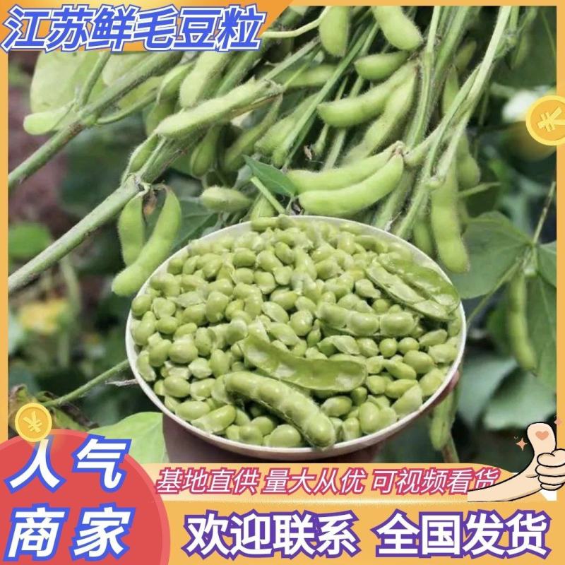 【推荐】江苏新鲜手工毛豆粒大量上市品质保证欢迎来电