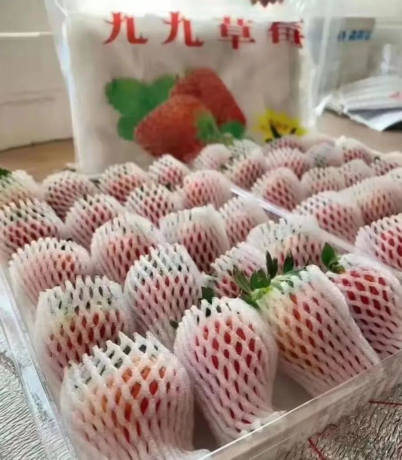 丹东东港九九草莓口感甜润产地直发送礼佳品质量保证