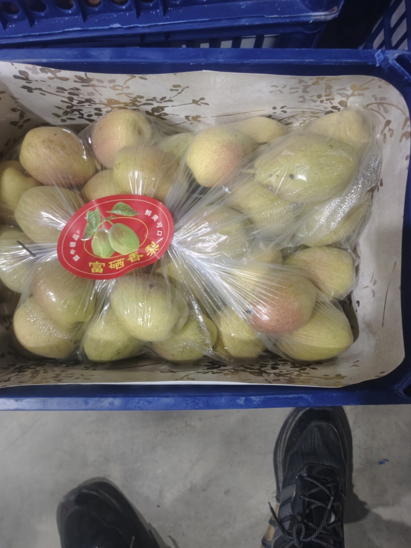 精品红香酥大量有货价格不高需要的抓紧