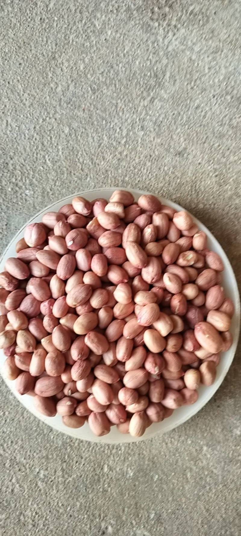2025白沙花生米-无碎瓣适合榨油，商品，电商，加工厂