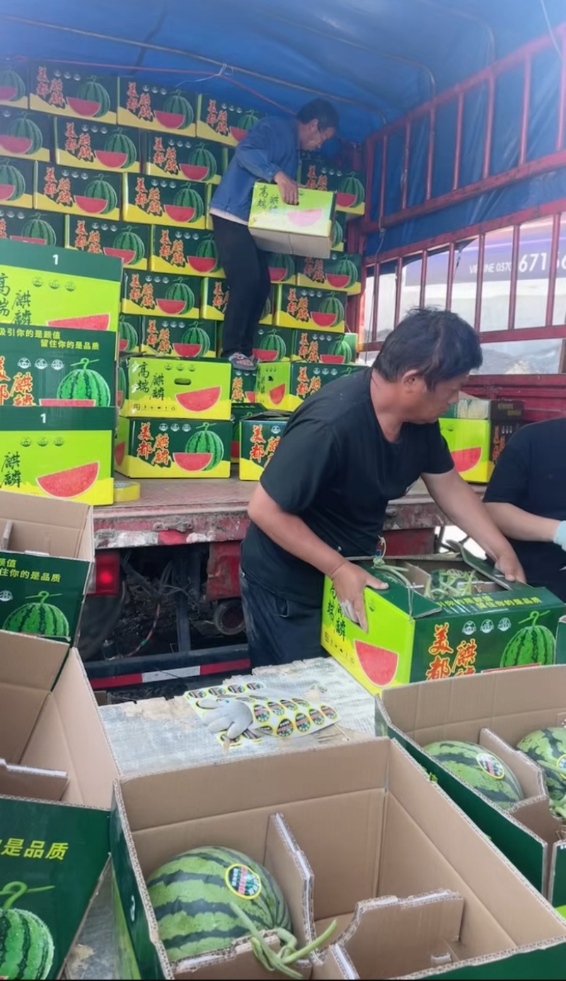 麒麟西瓜、甘肃麒麟西瓜、皮薄糖分高对接市场商超电商