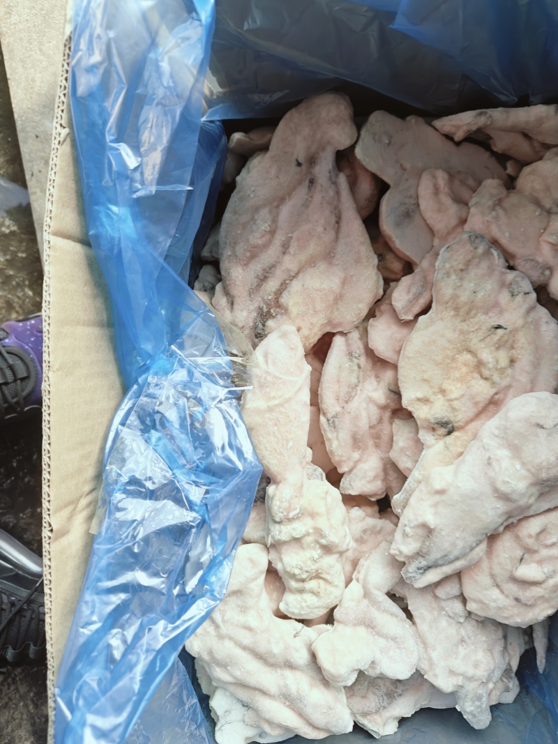 鳕鱼籽营养丰富可以用来加工也可以日本料理，价咨询为实