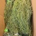 电商专用贡菜（三级）