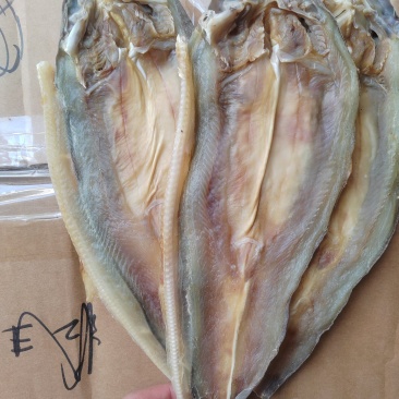 小沙鱼，沙鱼干